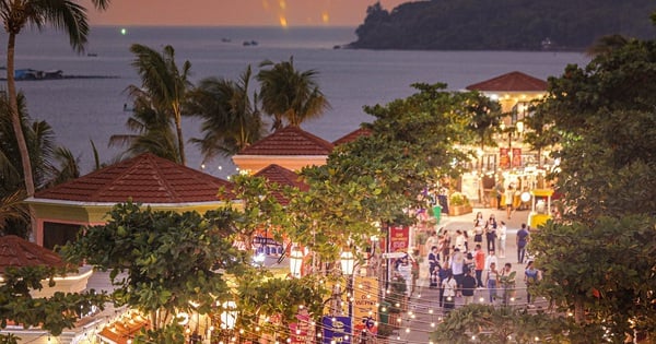 What is it about Vui Phet beach night market that makes everyone "crazy"?