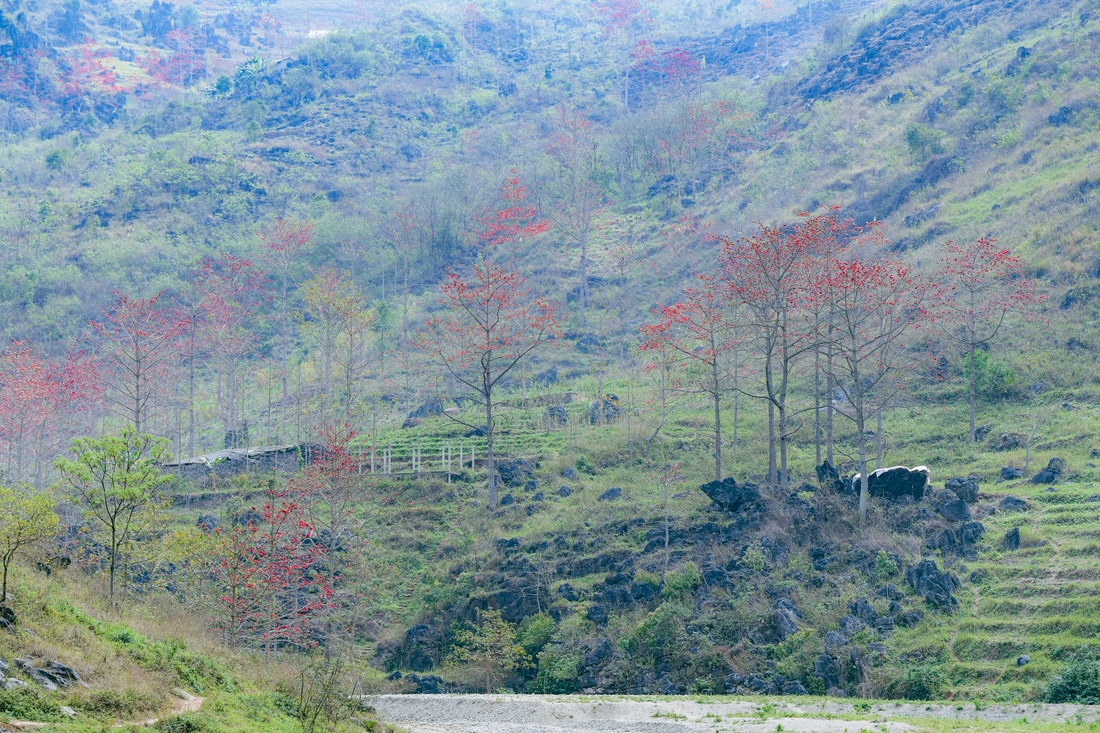 ¿Qué necesita Ha Giang para ser nominado como destino turístico líder de Asia? - Foto 5.