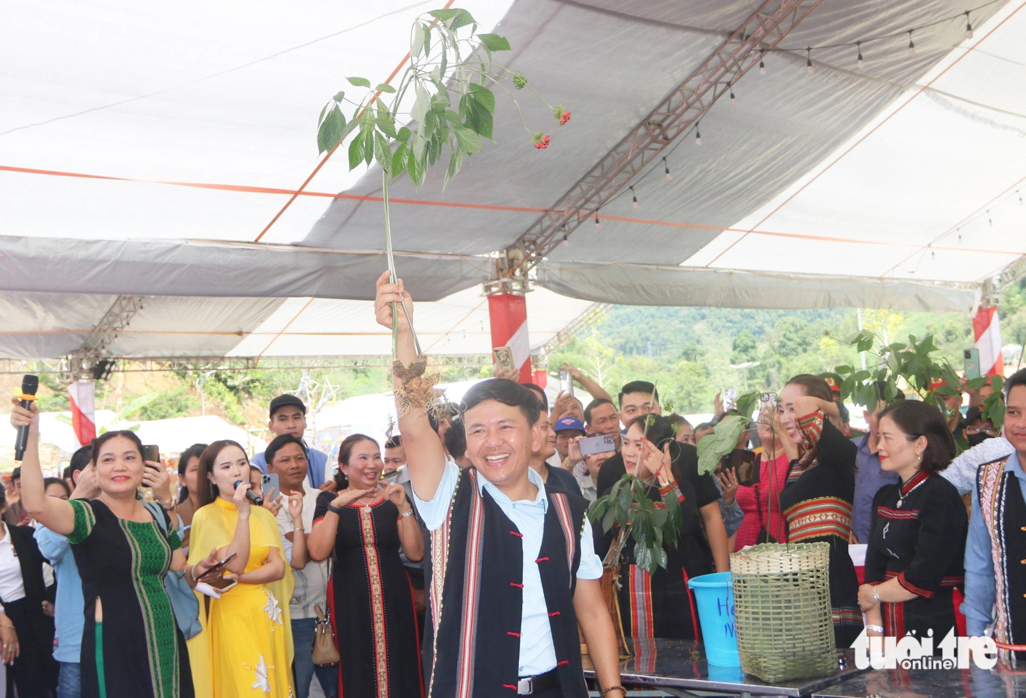 Người dân bán đấu giá cây sâm Ngọc Linh để ủng hộ quỹ xóa nhà tạm cho người nghèo - Ảnh: L.TRUNG