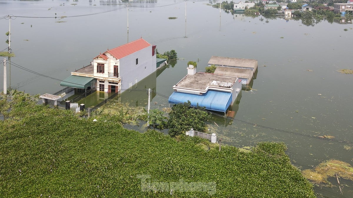 Une « inondation forestière » submerge des centaines de maisons dans la banlieue de Hanoi, photo 8