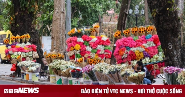 Fresh flowers increase in price sharply on November 20