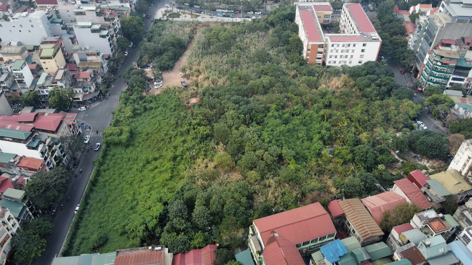 Unkraut wächst wild wie ein „Wald“ auf einem erstklassigen Grundstück in Hanoi und zerstört die Wohnfunktion. Foto 3