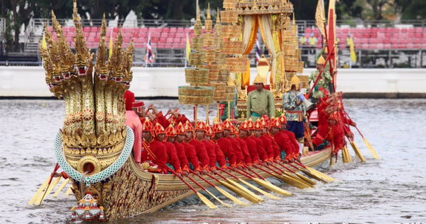 What is so special about the Royal Thai Festival that attracts so much attention?