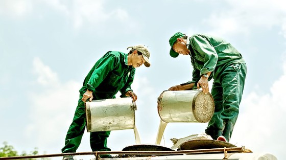 Verspätete Steuerrückerstattung, Unternehmen in Schwierigkeiten Foto 1