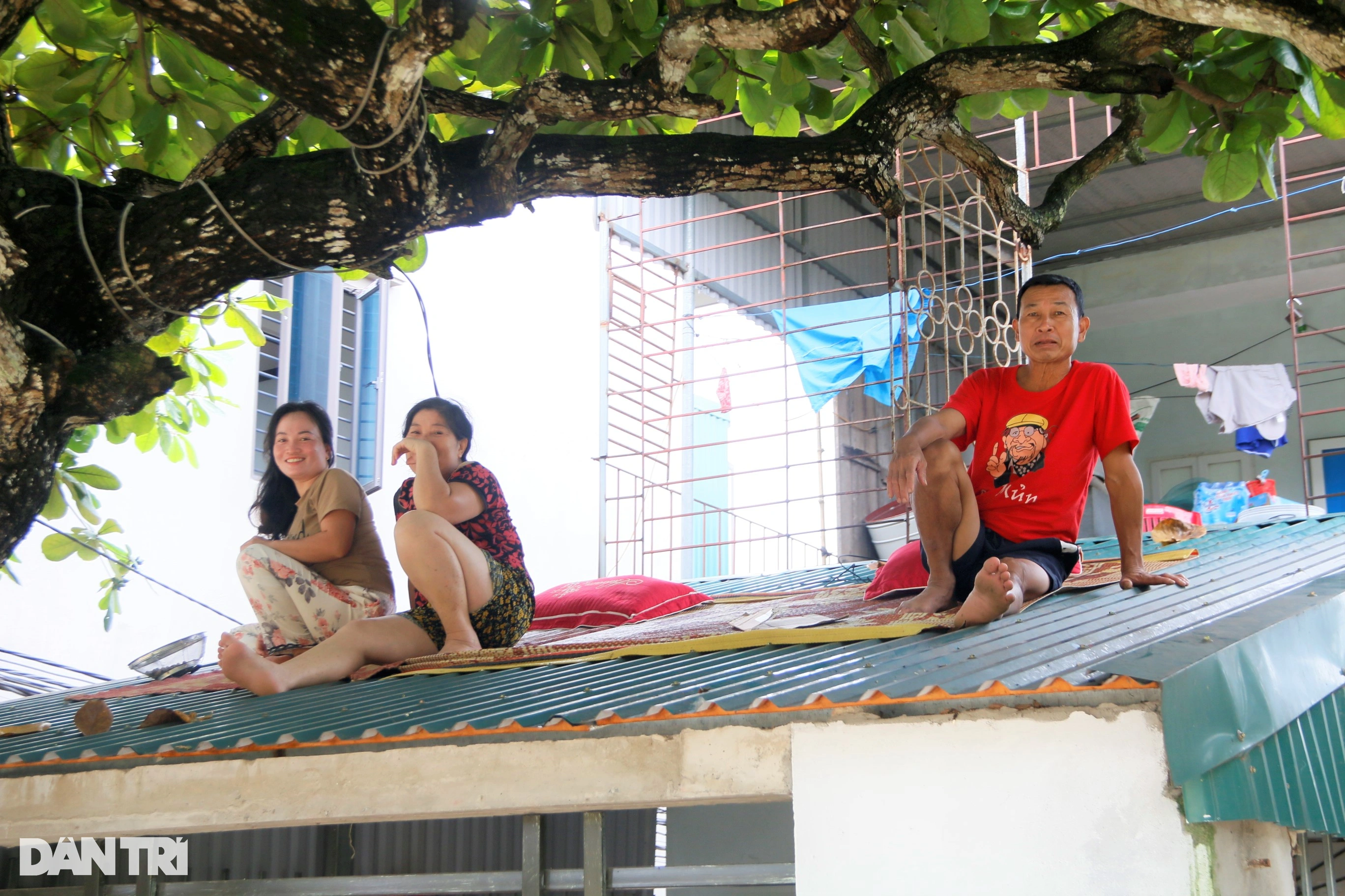 Vivir en un barco, dormir en el techo de una casa en el "centro de inundaciones" del río Hoang Long