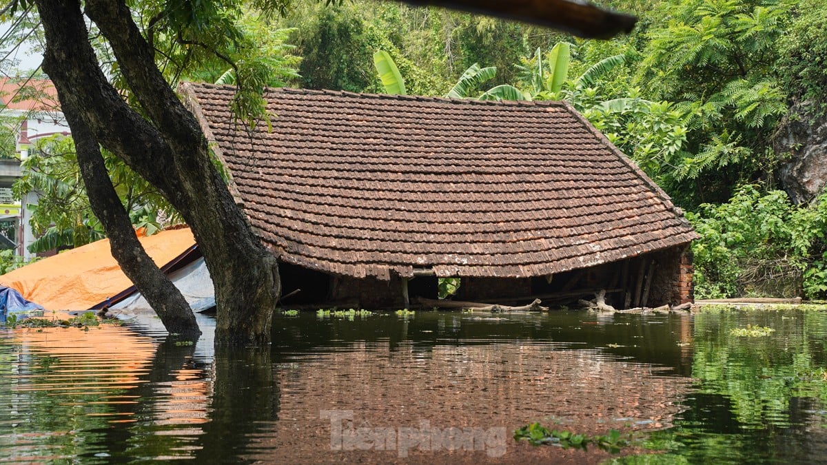 Une « inondation forestière » submerge des centaines de maisons dans la banlieue de Hanoi, photo 14