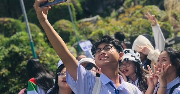 インスタント ダップは早春に美しく輝きます。