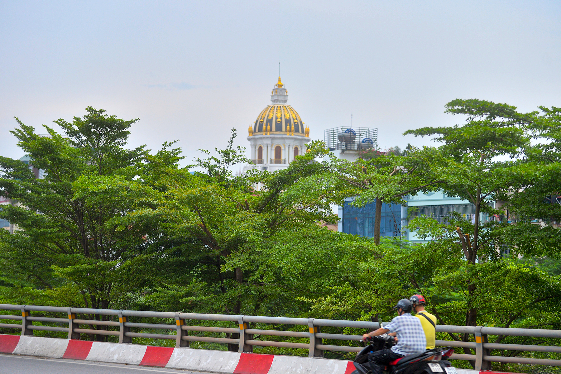 Hình ảnh cây chà là, bàng lá nhỏ trong vụ án của ông Nguyễn Đức Chung - Ảnh 12.