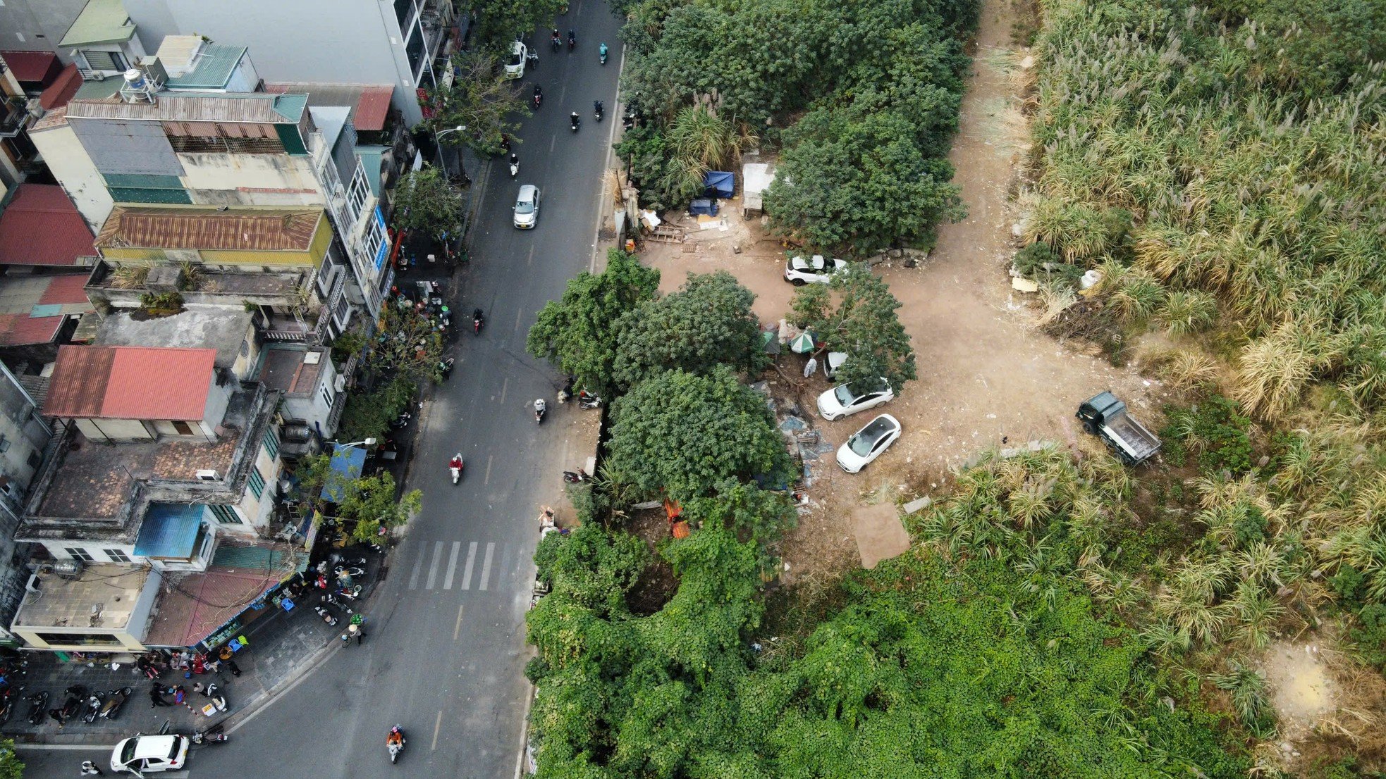 Unkraut wächst wild wie ein „Wald“ auf einem erstklassigen Grundstück in Hanoi und zerstört die Wohnfunktion. Foto 7