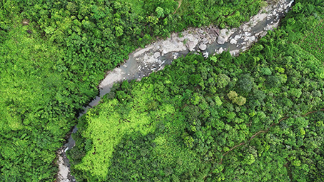 ลำธารในป่าทางลาดด้านตะวันออกของธารทามเดา ภาพโดย: กวาง มินห์