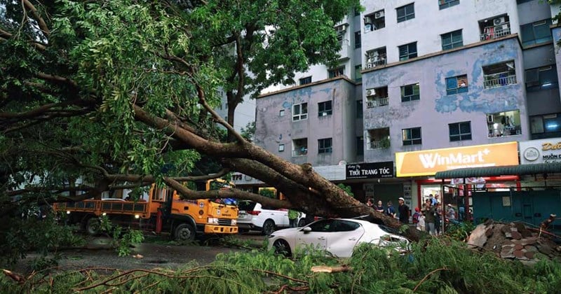 Insurance compensates 7,000 billion VND for damage caused by storms and floods