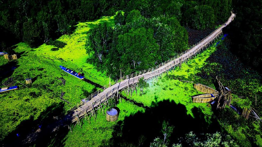 Tra Su Melaleuca Forest honored as attractive tourist destination in 2024