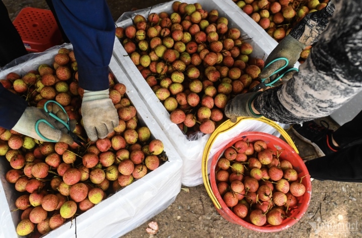 中国は野菜や果物の購入に5倍のお金を費やし、ドリアンを積んだトラックが国境ゲートを埋め尽くす - 2