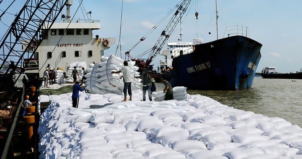 Chủ động ứng phó El Nino để tăng xuất khẩu gạo