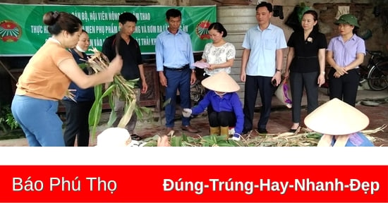 Tập huấn sản xuất phân bón hữu cơ từ phế phụ phẩm nông nghiệp