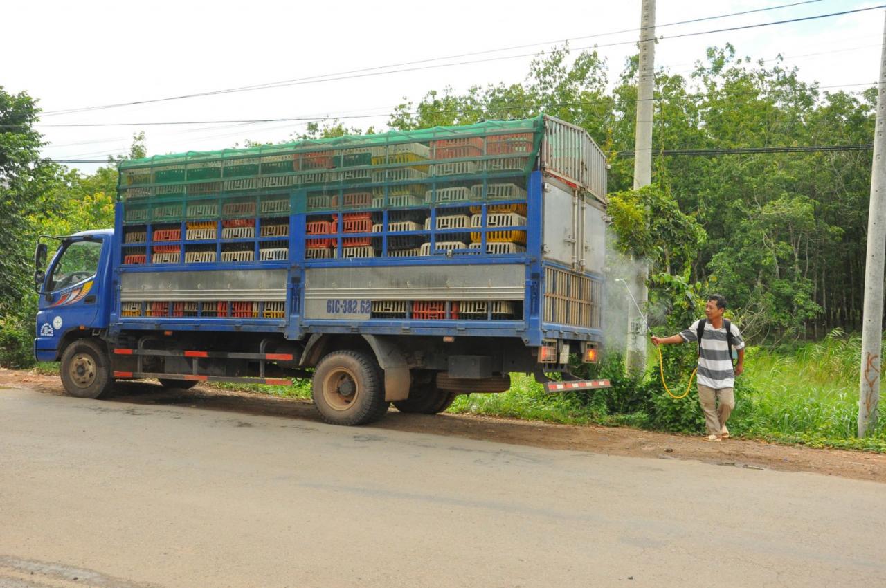 151 ស្ទួន8 dsc 0132 jpg