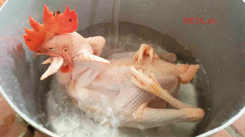 Cách luộc gà cánh tiên dũng mãnh, đẹp mắt siêu chuẩn ngày Tết- Ảnh 5.