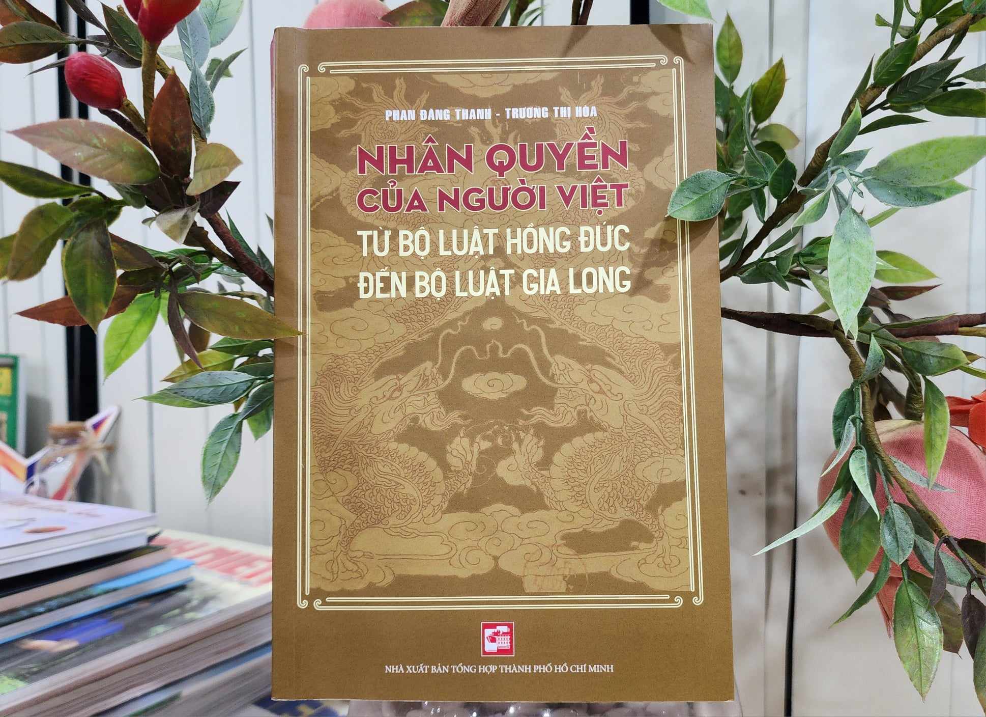 Quyền con người trong thời Lê, Nguyễn - Ảnh 1.