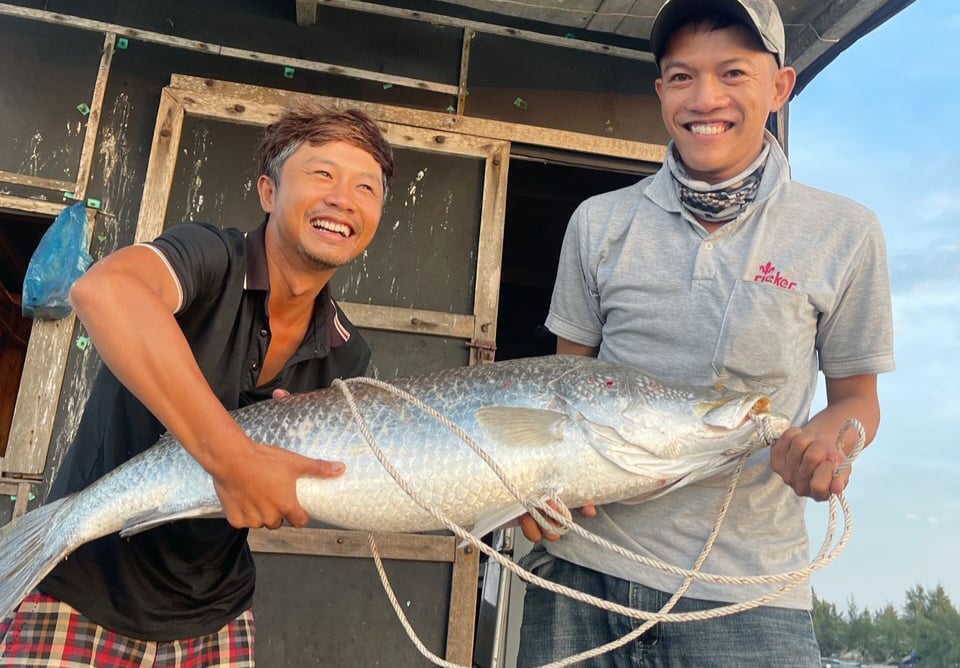 Un pescador capturó una lubina de 15 kg