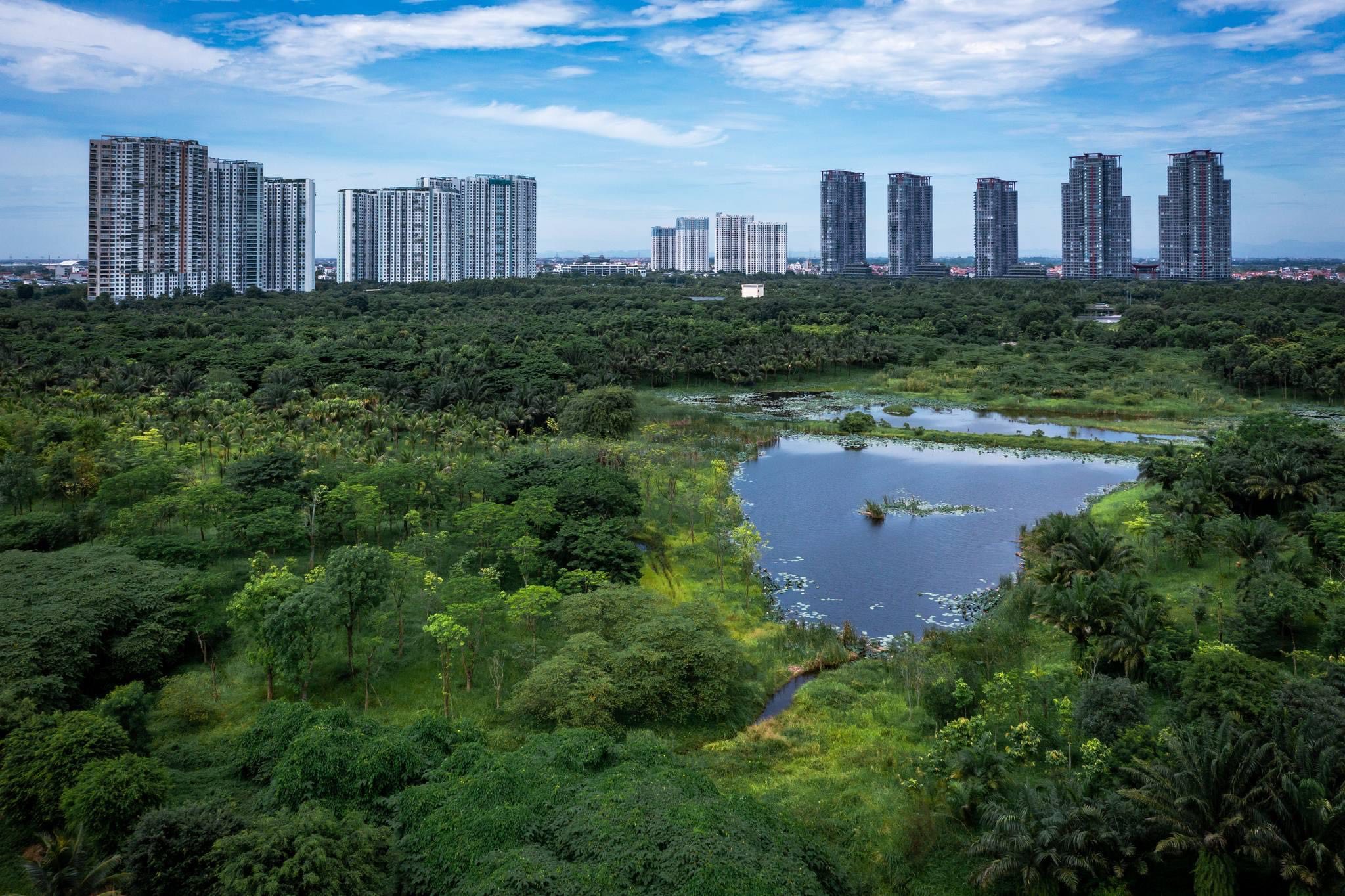 Nhà sáng lập Ecopark được vinh danh Chủ đầu tư của thập kỷ tại Việt Nam PropertyGuru- Ảnh 2.