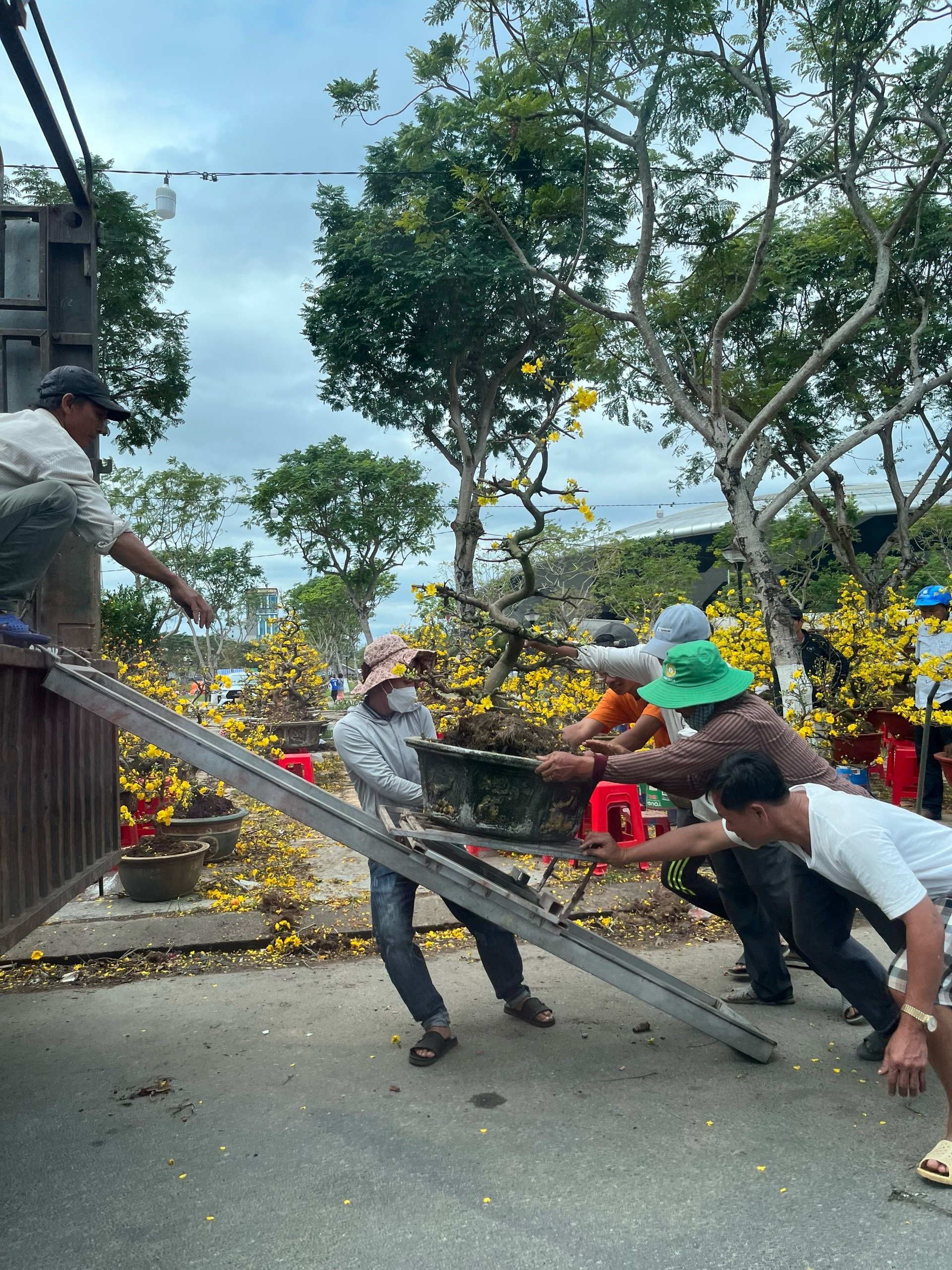 Người bán hoa tết ở Đà Nẵng thất thần vì 'ế ẩm chưa từng thấy'- Ảnh 8.