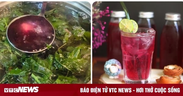 គ្រូ​ពេទ្យ​ណែនាំ​វិធី​ស្ងោរ​ទឹក​ស្លឹក​ពែរ​ផឹក