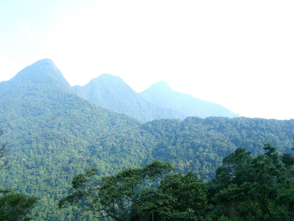 Vườn quốc gia Tam Đảo.