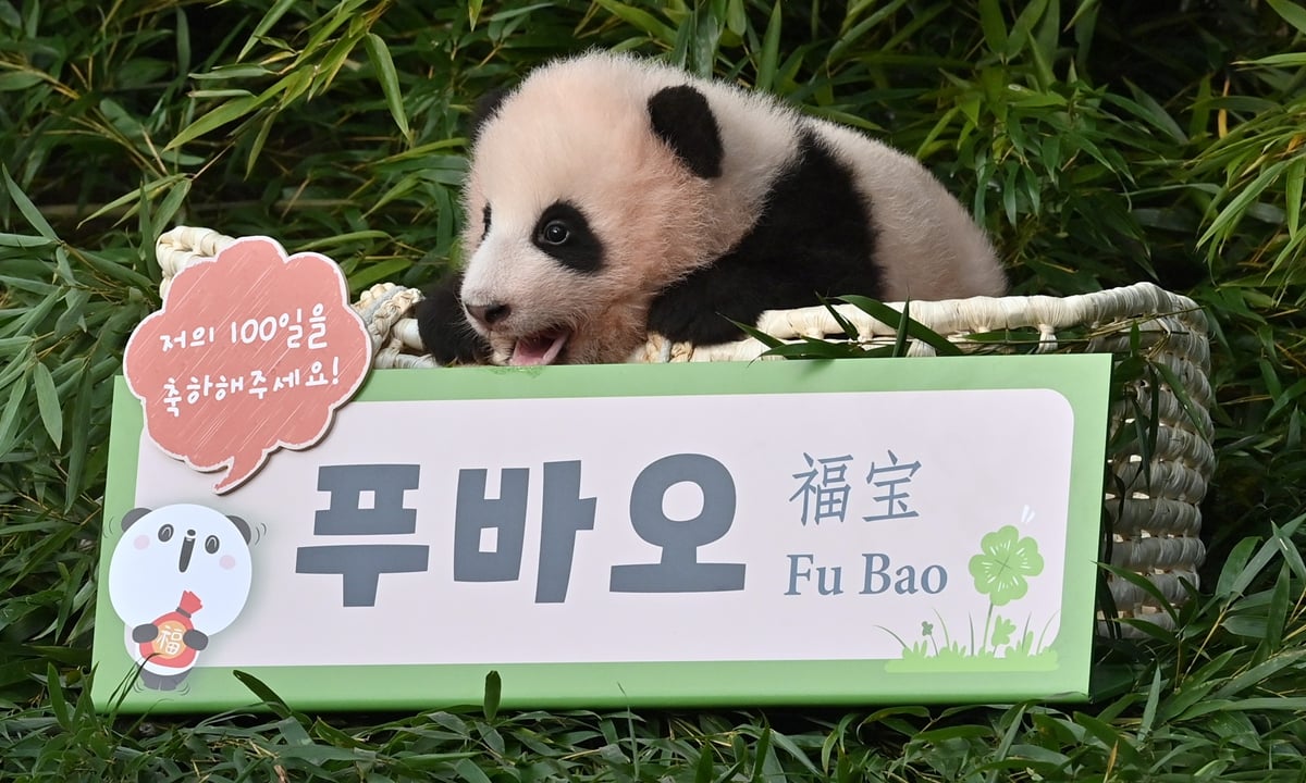 Định vị các tọa độ siêu hot tại Hàn Quốc khiến bạn mê mẩn quên lối về - Ảnh 3.