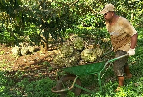 El sector agrícola dará un gran paso adelante en los primeros meses de 2024