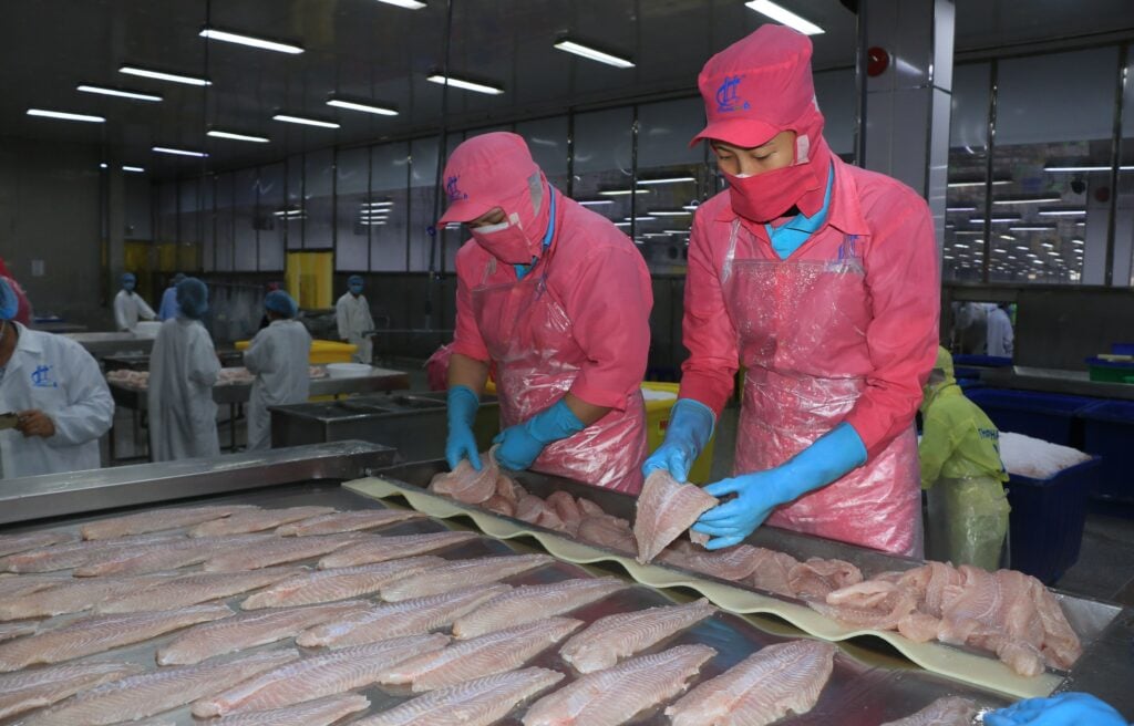 Hung Ca Company Limited (Thanh Binh、Dong Thap) で輸出用の冷凍パンガシウスの切り身を加工しています。写真：ニャット・アン - VNA