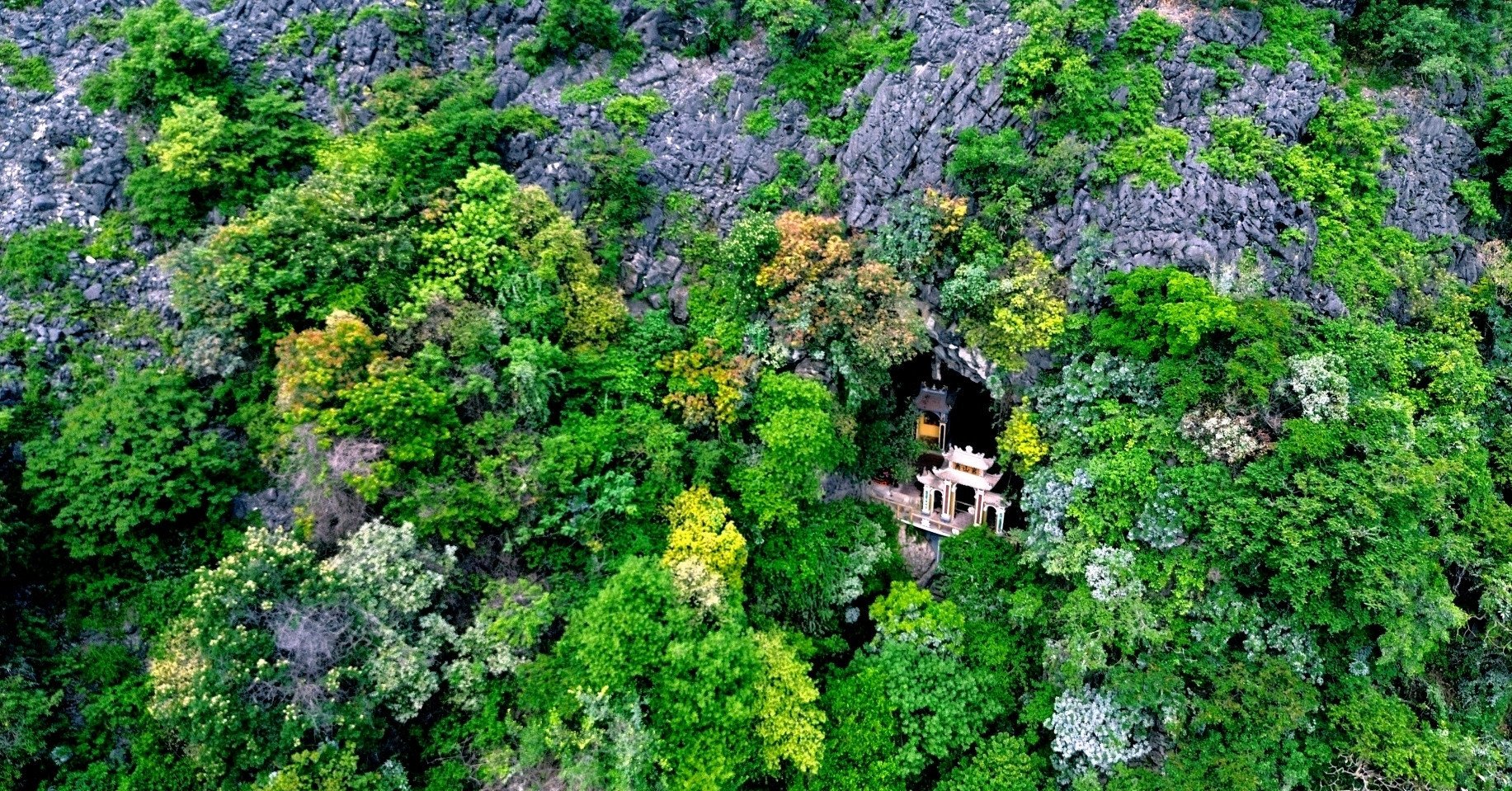 « La troisième plus belle grotte du Sud » est située à Ninh Binh, pleine de stalactites magiques à l'intérieur.