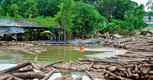 Dọn dẹp, sắp xếp lại thôi, làm thế nào bây giờ