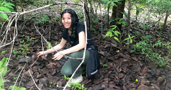 Profesora vietnamita con un proyecto de cientos de miles de euros