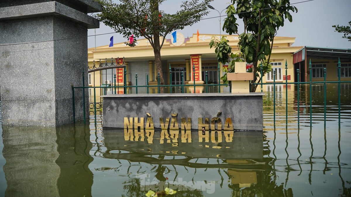 Une « inondation forestière » submerge des centaines de maisons dans la banlieue de Hanoi, photo 16