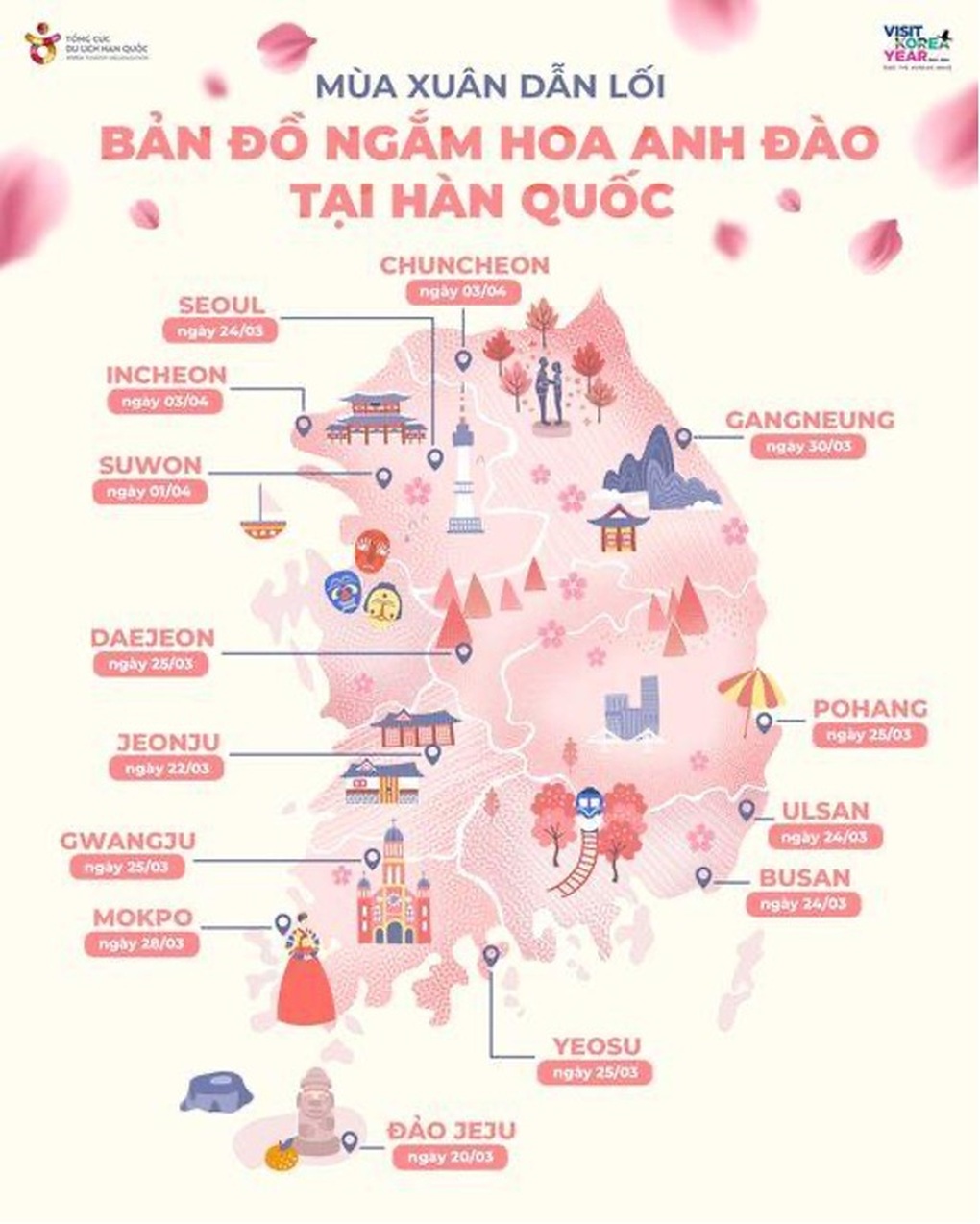 Thời điểm ngắm hoa anh đào ở Hàn Quốc - 1