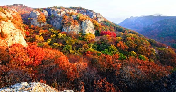 Amazed by the colorful gardens in Korea