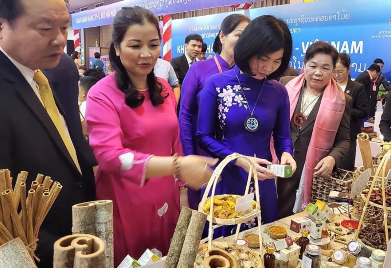 Fortalecimiento de la relación de cooperación para el desarrollo entre Hanoi y Vientiane