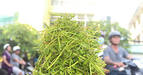 Le Rau choai, un type de légume sauvage au nom douloureux à Dong Thap Muoi, Tien Giang, est désormais un légume de spécialité pour les riches.