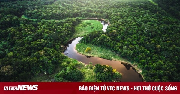 Découverte d'une ancienne civilisation sous la forêt amazonienne