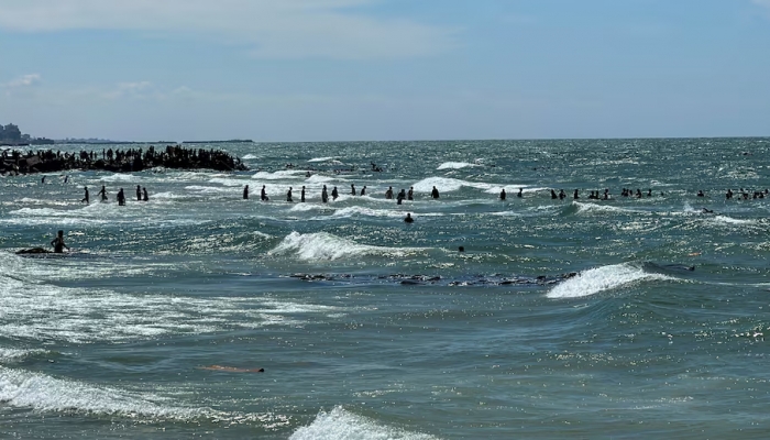 ガザ沖で援助を求めて12人が溺死