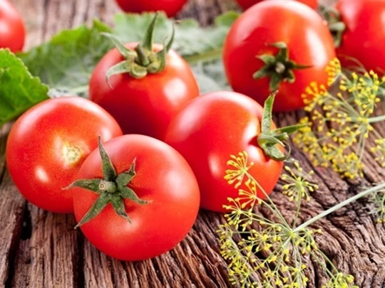 Recherche sur des tomates plus sucrées et plus juteuses