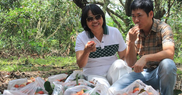 In einem Obstgarten in Khanh Hoa können die Menschen nach Belieben köstliche Früchte zum Essen pflücken und mit dem Boot zum kühlen Bach fahren.