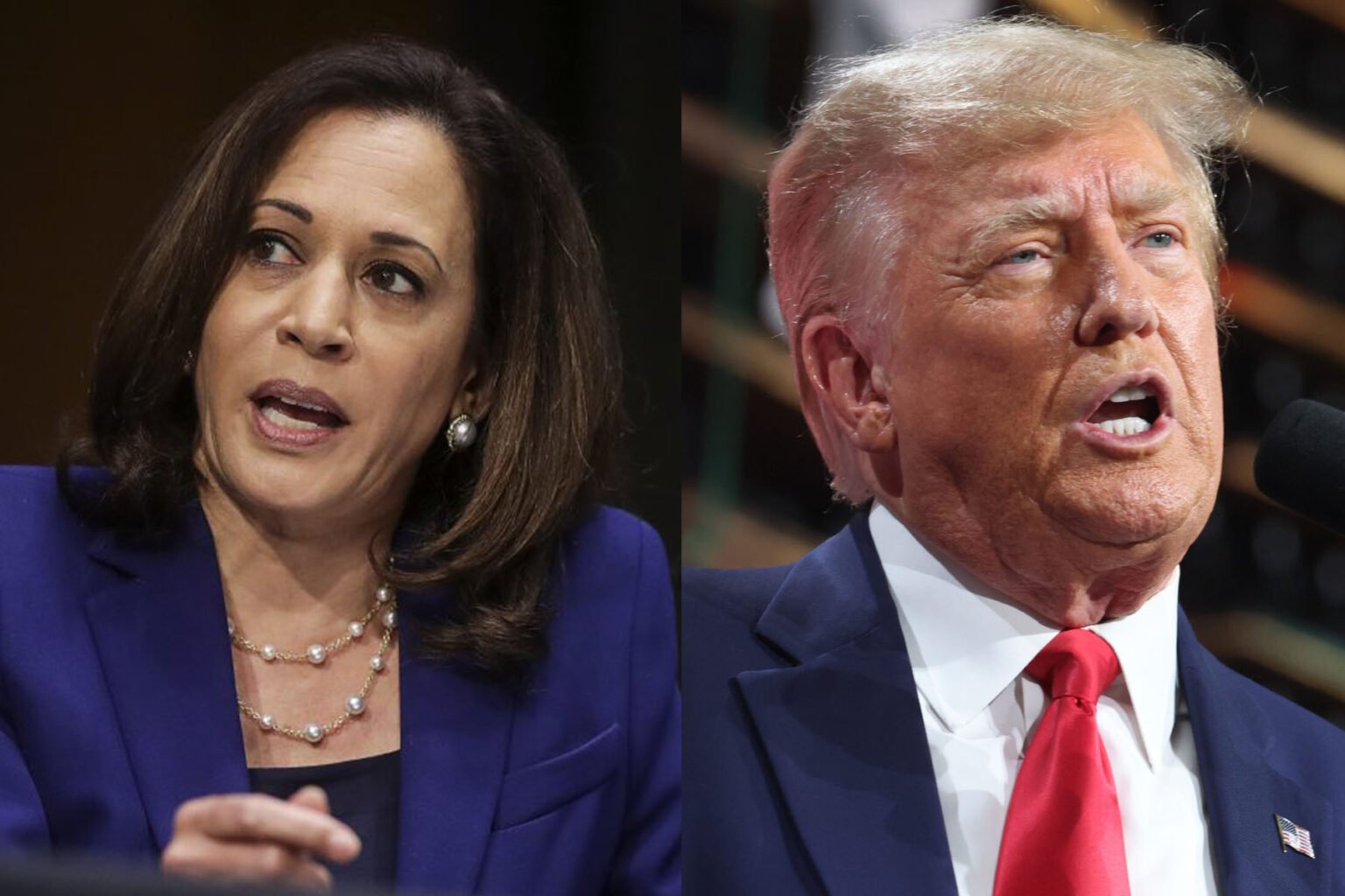 US Election: Battleground States Still Not Clear Whether They Support Harris or Trump