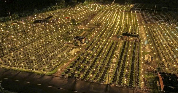 Hermosa escena brillante en el pueblo de flores más grande de Da Nang durante la temporada del Tet