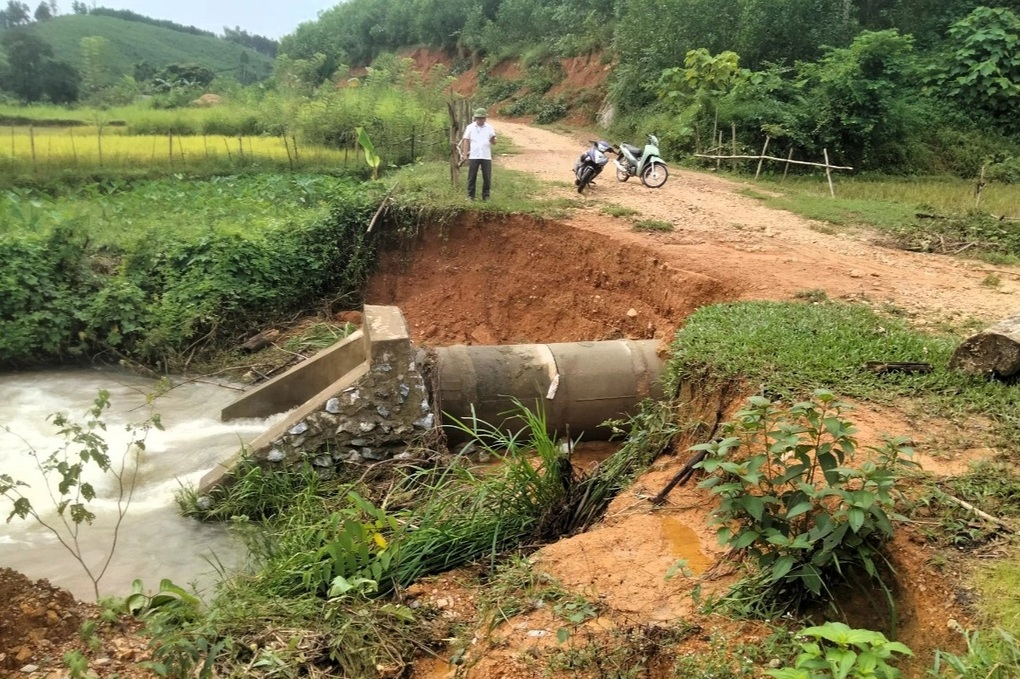 130ha lúa tan hoang sau lũ, xã nghèo thiệt hại 10 tỷ đồng - 3