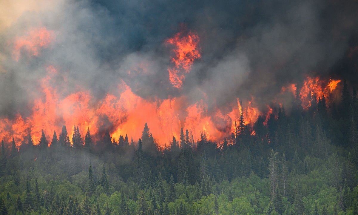 Warum konnte es auf der Erde seit Milliarden von Jahren kein Feuer geben?