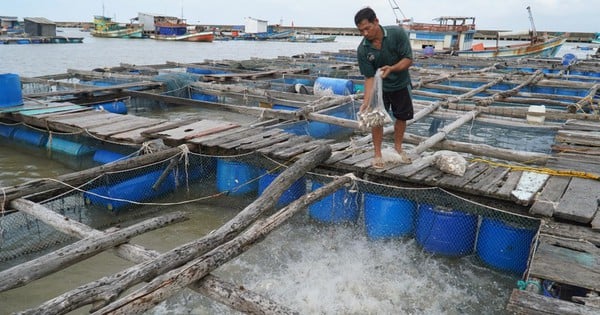 Bàn giải pháp phát triển nghề nuôi biển đến năm 2025, tầm nhìn năm 2030