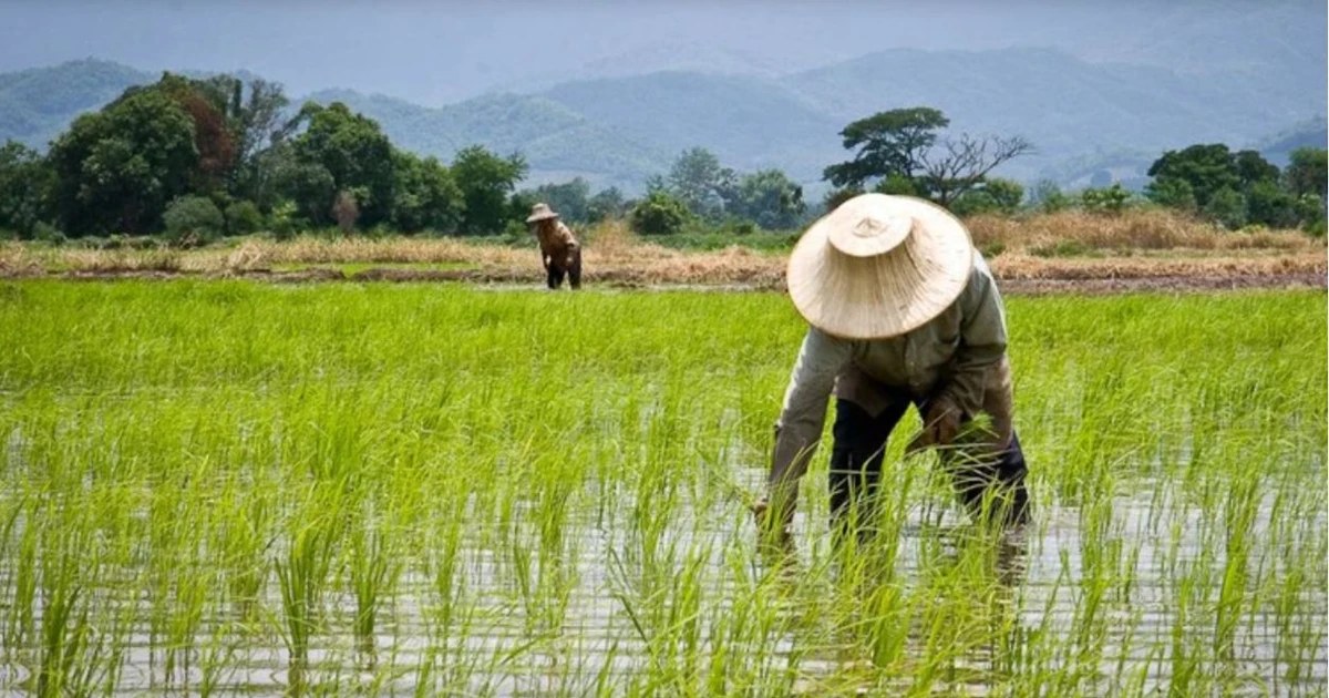 Thái Lan đặt mục tiêu tăng gấp 3 lần thu nhập cho nông dân