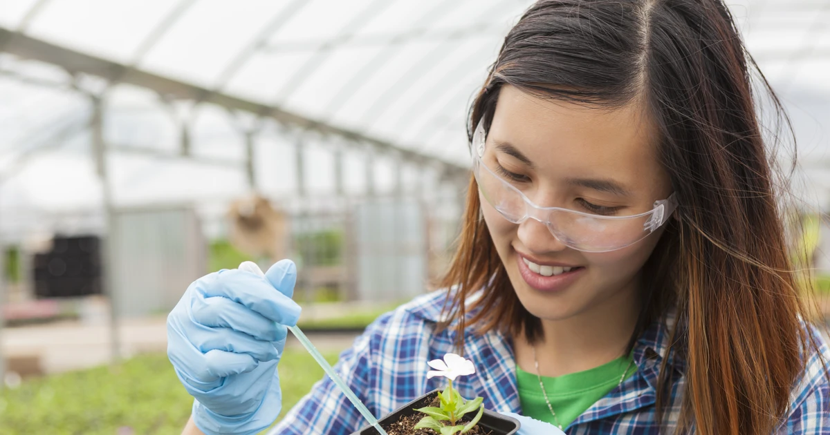 優秀なベトナム人女子学生5人が英国でSTEMを学ぶための奨学金を獲得