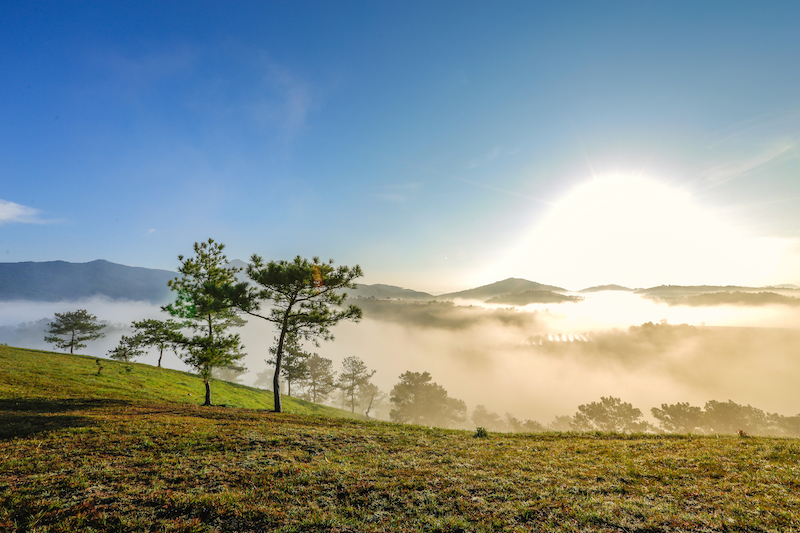 រូបថតរបស់ Cloud Hunting នៅ Dalat នៅ Thien Phuc Duc Hill